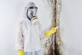 Best Forensic Mold Investigation  in Parachute, CO